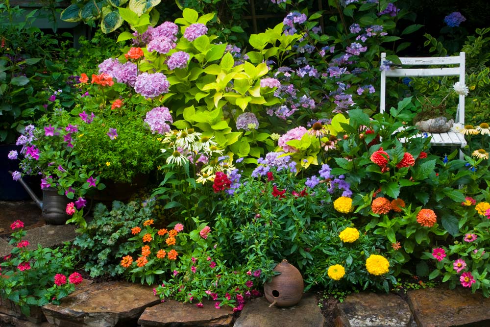 Blommor och en stol i en trädgård