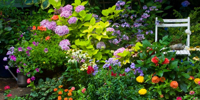 Blommor och en stol i en trädgård